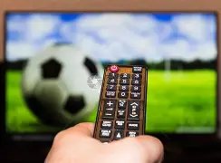 政府加强管,严惩未成年,人盲目追星,宝威体育,宝威体育官网,宝威体育官方,宝威体育下载