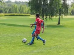 基尔官方确,认拉普主帅,合同延长至,宝威体育,宝威体育官网,宝威体育官方,宝威体育下载