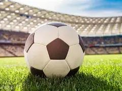 郑钦文阳光,赛意外崛起,红土赛场惋,宝威体育,宝威体育官网,宝威体育官方,宝威体育下载