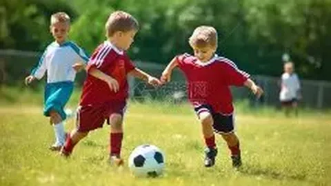 宝威体育 产品 005250 z08