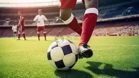 探讨恒大新主场设计风波：拥抱创新需宽容，方能发现美好