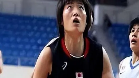 四球半迷雾中，主队未来走向：免费观看指南